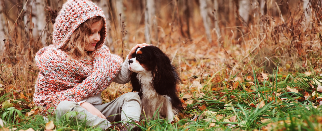 Chien et maitresse automne