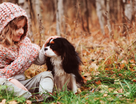 Chien et maitresse automne