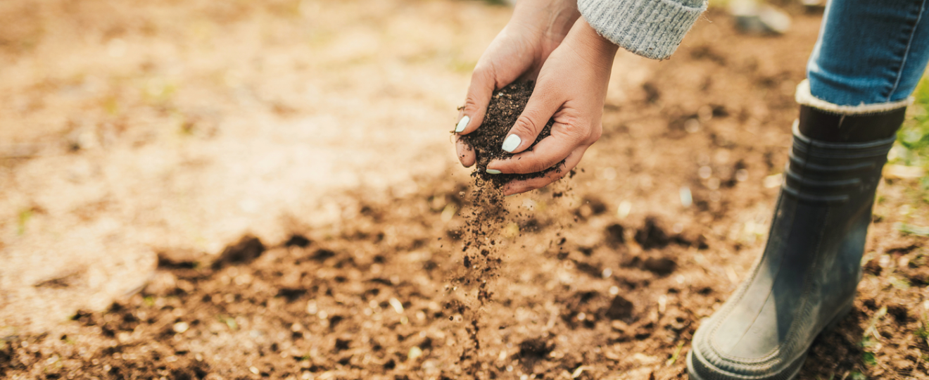 Cultiver son potager en fonction de son sol