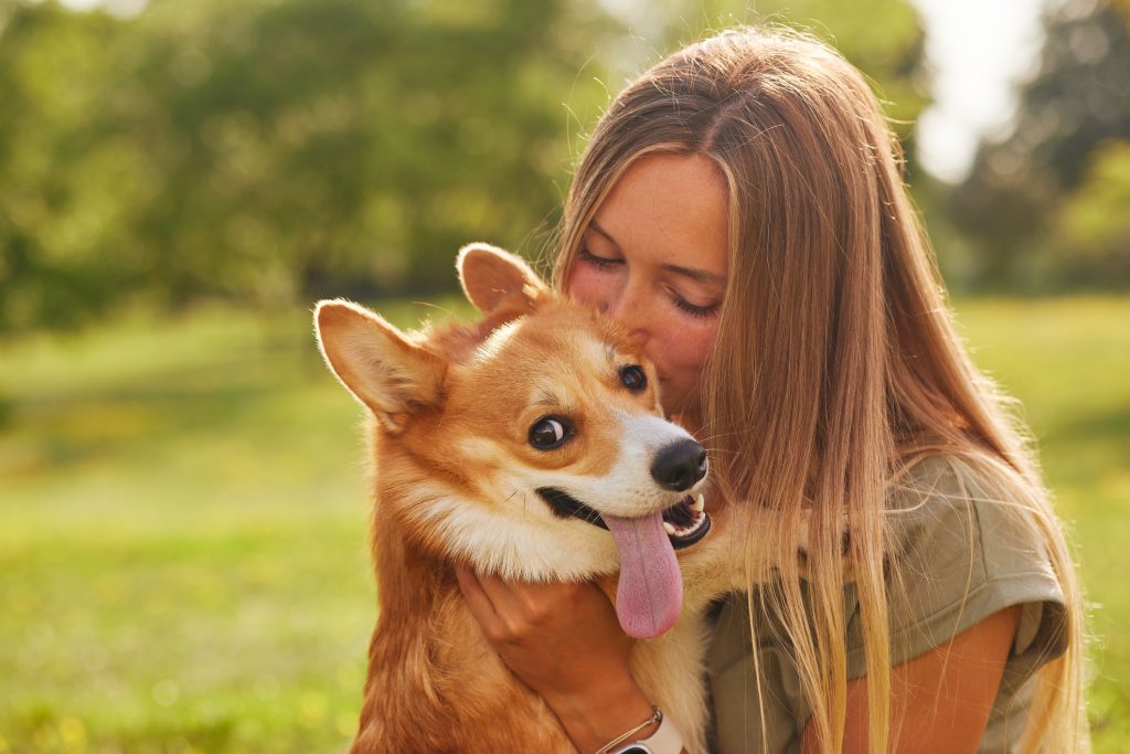 Jeune fille qui embrasse un Welsh Corgi Pembroke