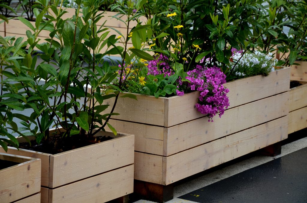 Pots de fleurs en bois